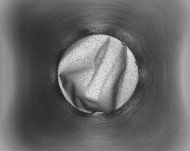 X0000103241012200809181539