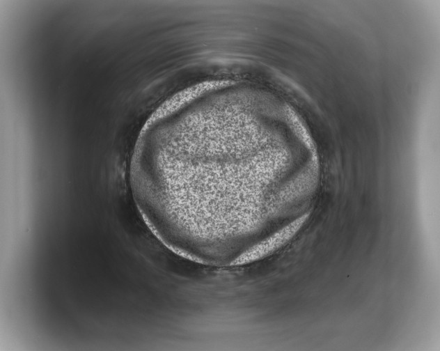 X0000103241013200809181539