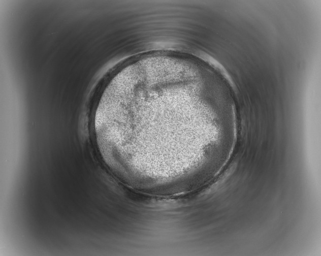 X0000103241019200809181540