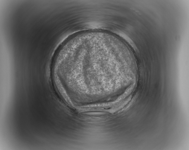 X0000103241023200809181540