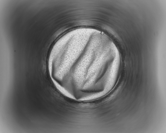 X0000103241025200809181540