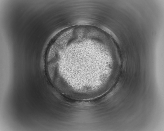 X0000103241027200809181540