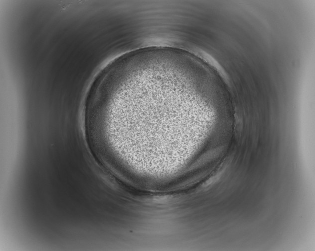 X0000103241035200809181540