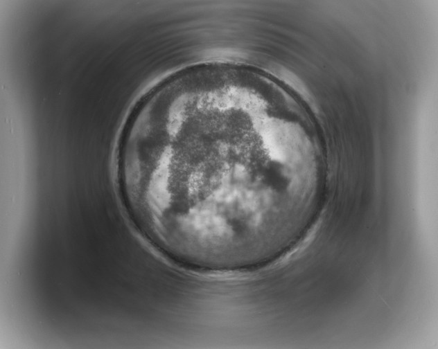 X0000103241037200809181540