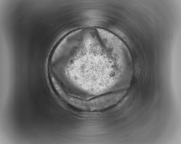 X0000103241039200809181540