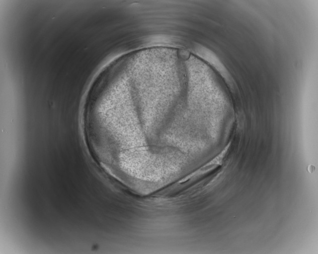 X0000103241043200809181540