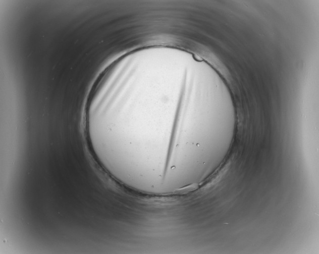 X0000103241044200809181540