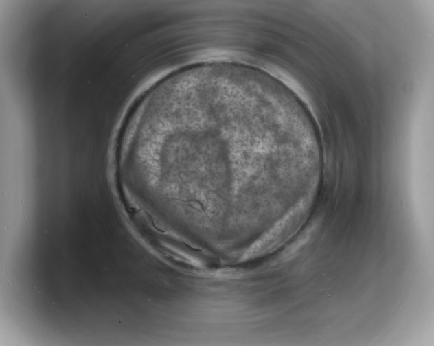 X0000103241045200809181540