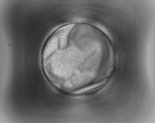 X0000103241047200809181540