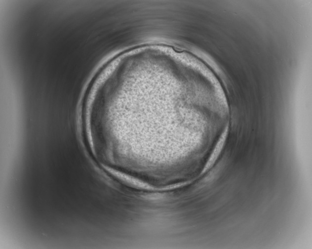 X0000103241048200809181540