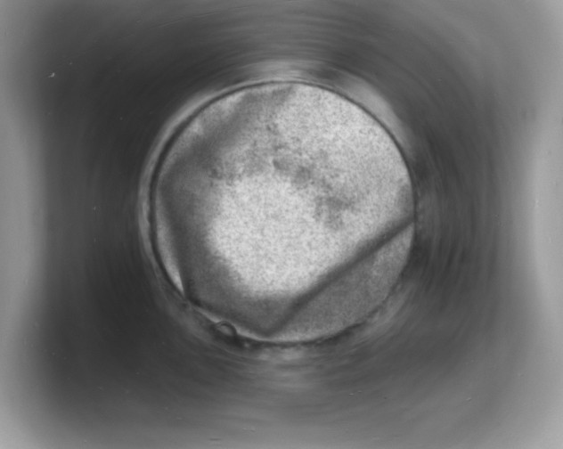 X0000103241051200809181540