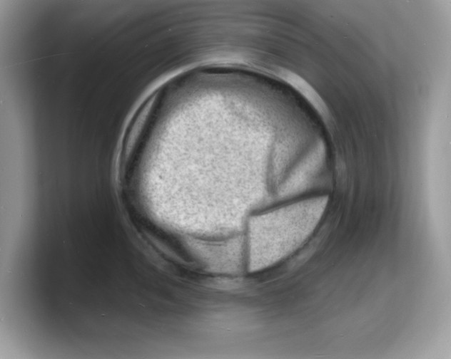 X0000103241052200809181540