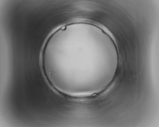 X0000103241053200809181540