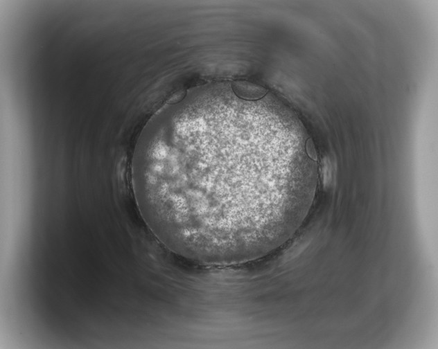 X0000103241059200809181539