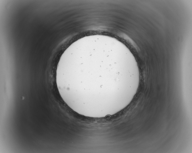 X0000103241064200809181539