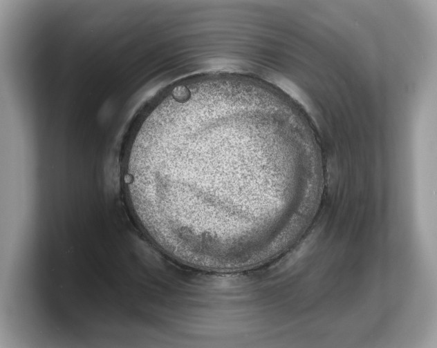 X0000103241067200809181539