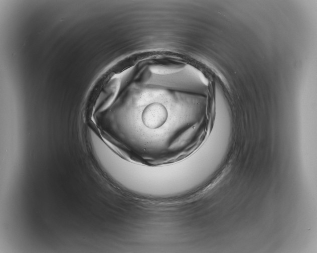 X0000103241069200809181539