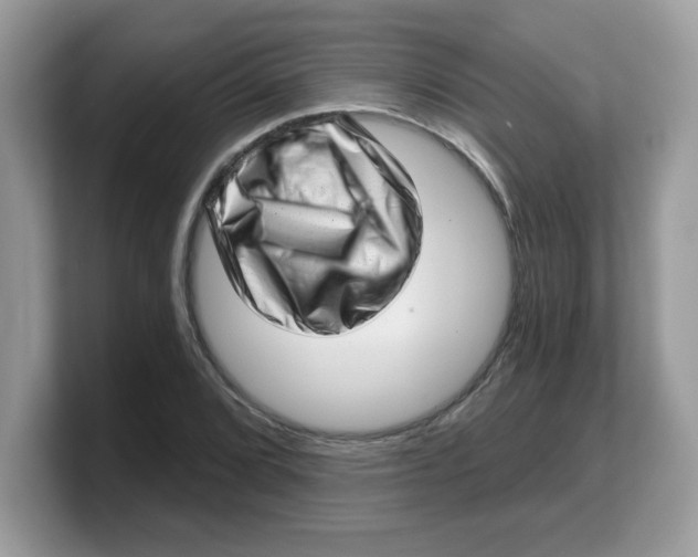 X0000103241072200809181539