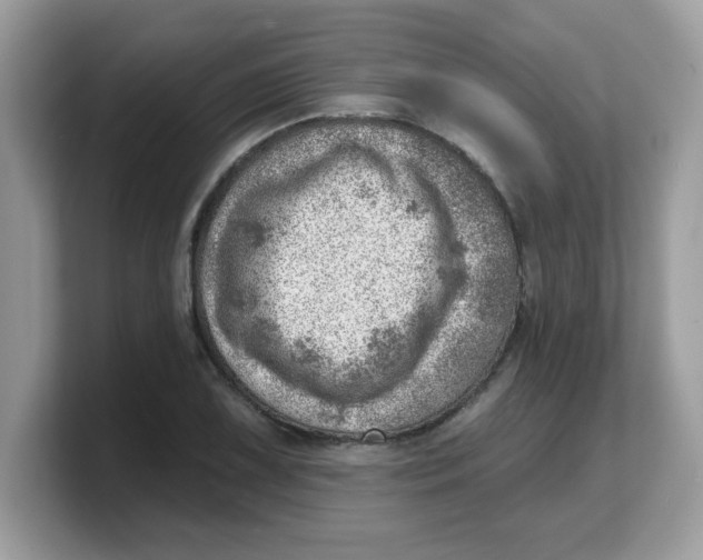 X0000103241075200809181539