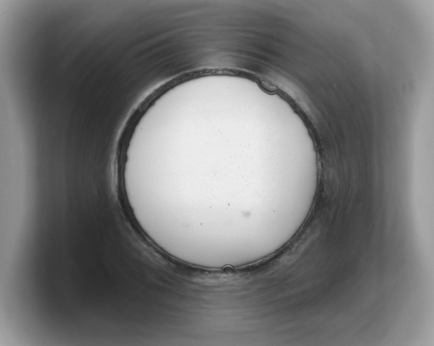 X0000103241076200809181539