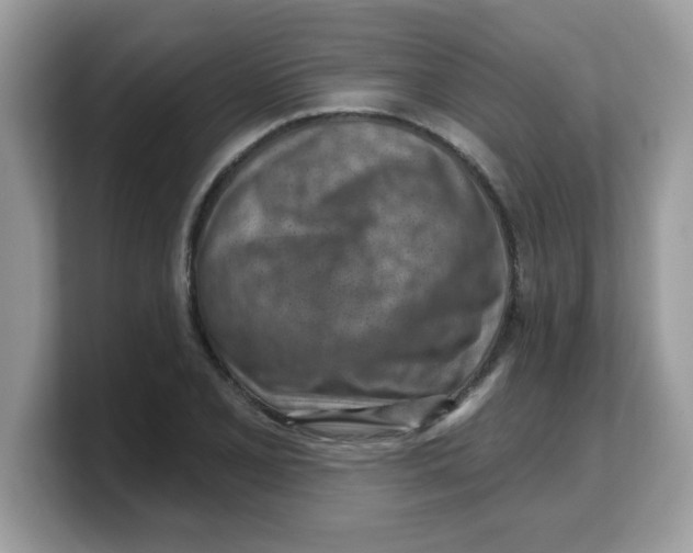 X0000103241077200809181539