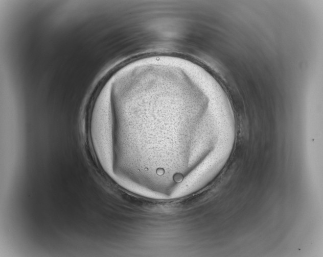 X0000103241078200809181539