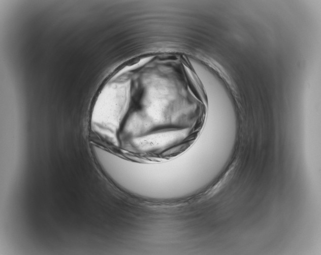 X0000103241081200809181539