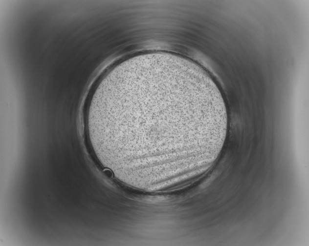 X0000103241082200809181539