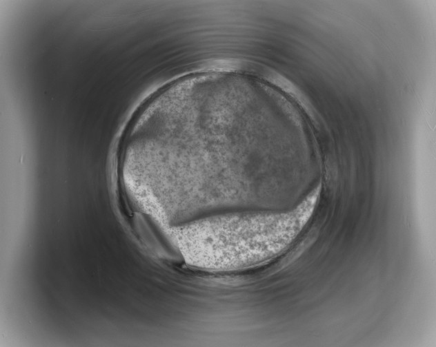 X0000103241083200809181539