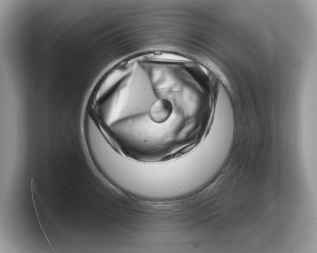 X0000103241084200809181539