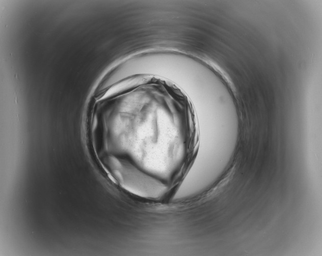 X0000103241085200809181539