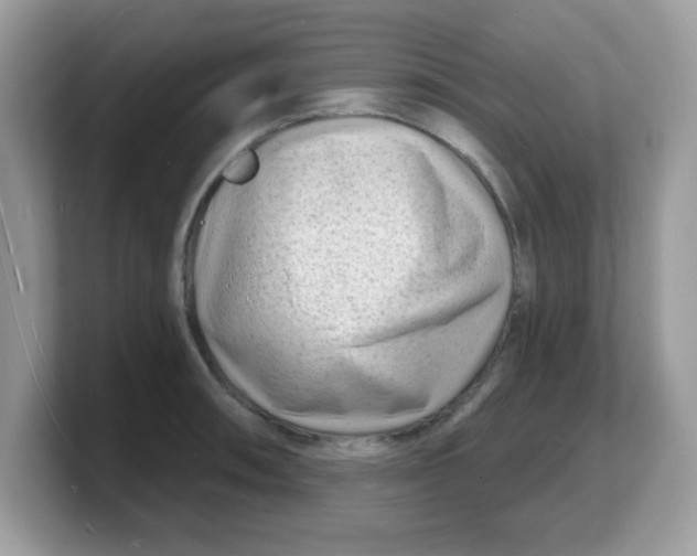 X0000103241090200809181539