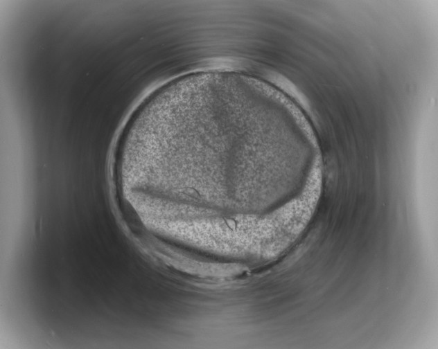 X0000103241091200809181539