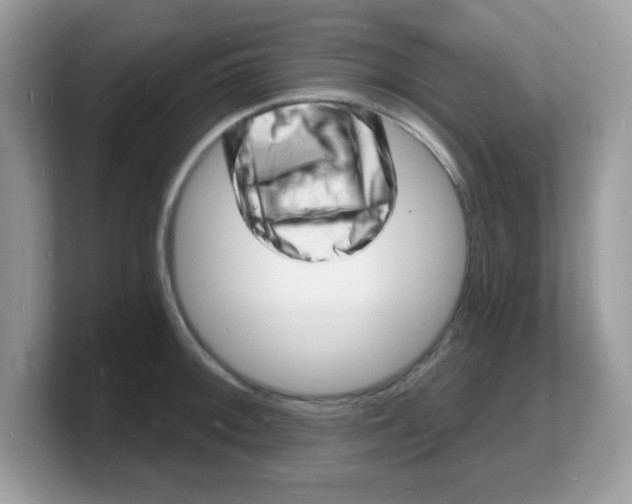 X0000103241092200809181539