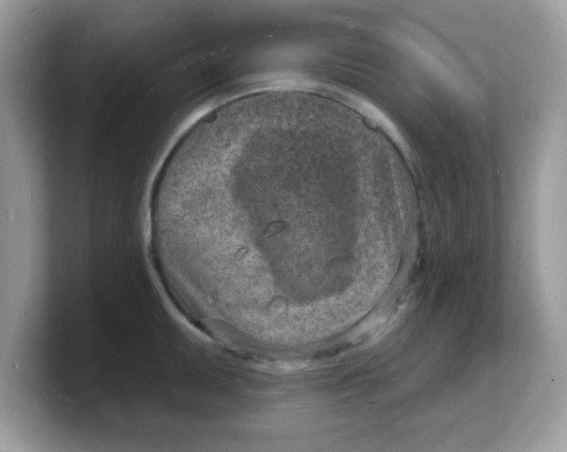 X0000103241095200809181539