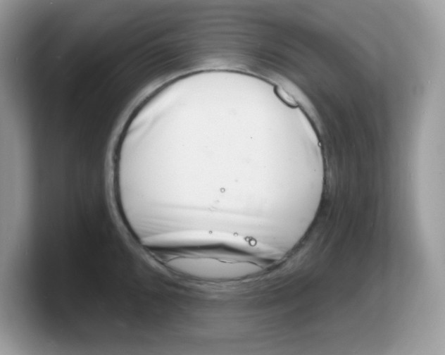 X0000103241096200809181539