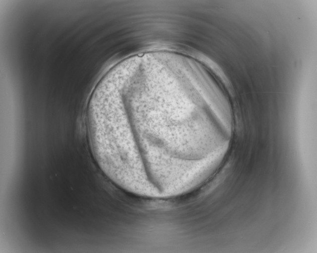 X0000103241097200809181539