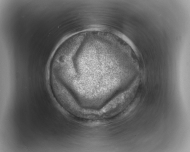 X0000103241099200809181539