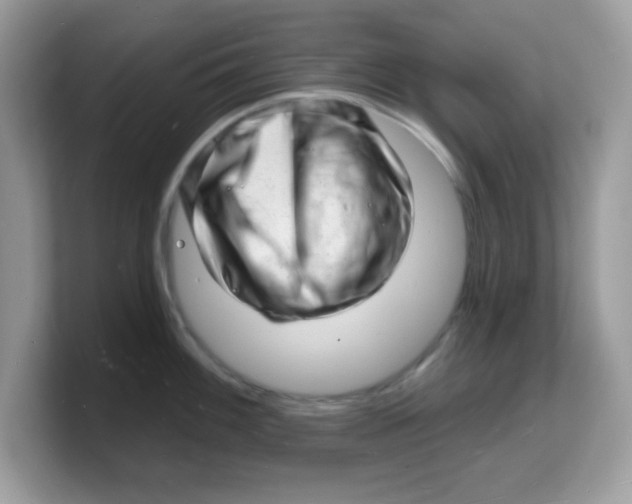 X0000103241100200809181539