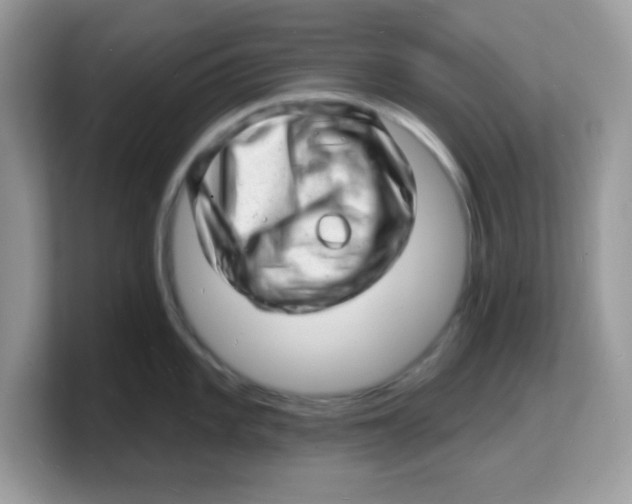 X0000103241101200809181539