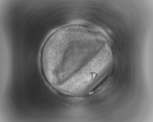 X0000103241103200809181539