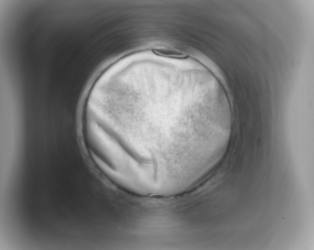 X0000103241104200809181539