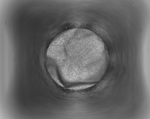 X0000103241105200809181538