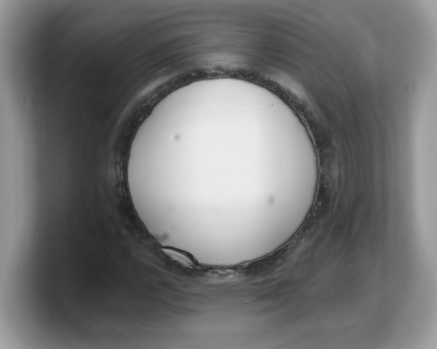 X0000103241112200809181538