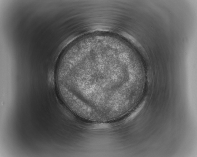 X0000103241113200809181538