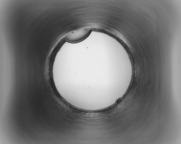 X0000103241116200809181538