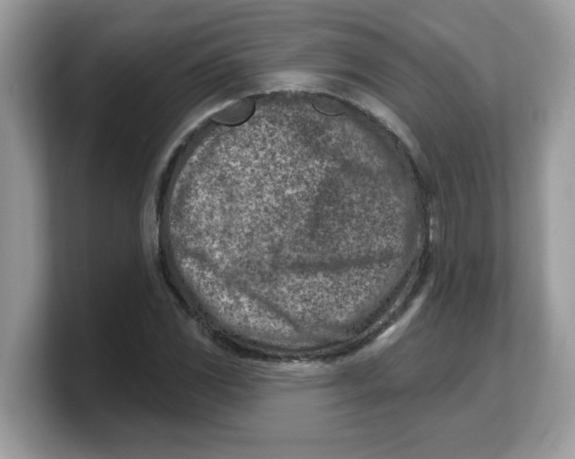 X0000103241117200809181538