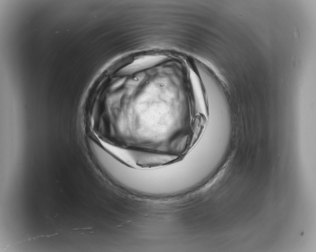 X0000103241118200809181538