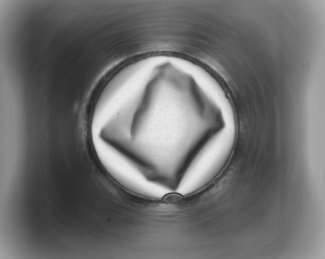 X0000103241119200809181538