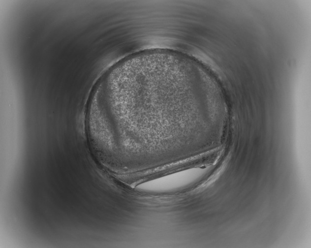 X0000103241121200809181538